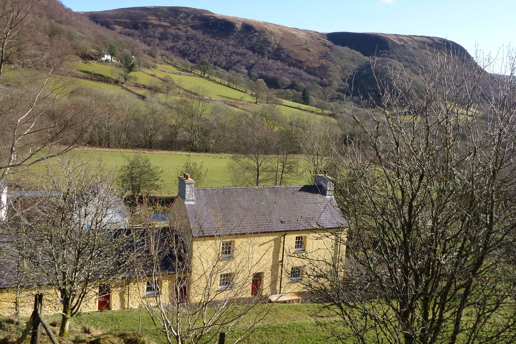 Troedrhiwgelynen gallery - Gallery