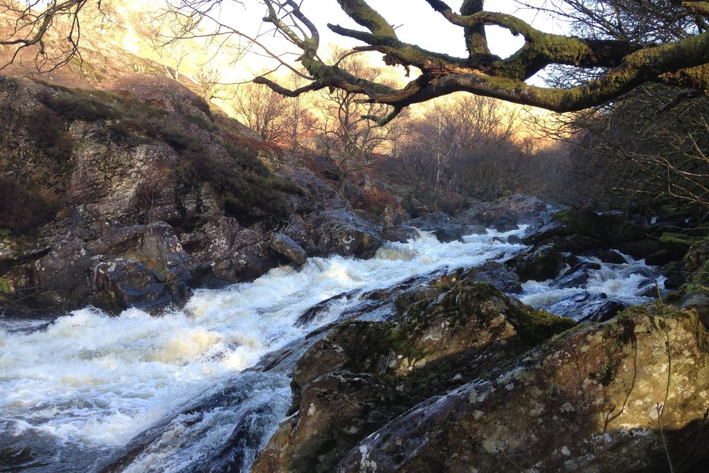 Troedrhiwgelynen gallery - Gallery