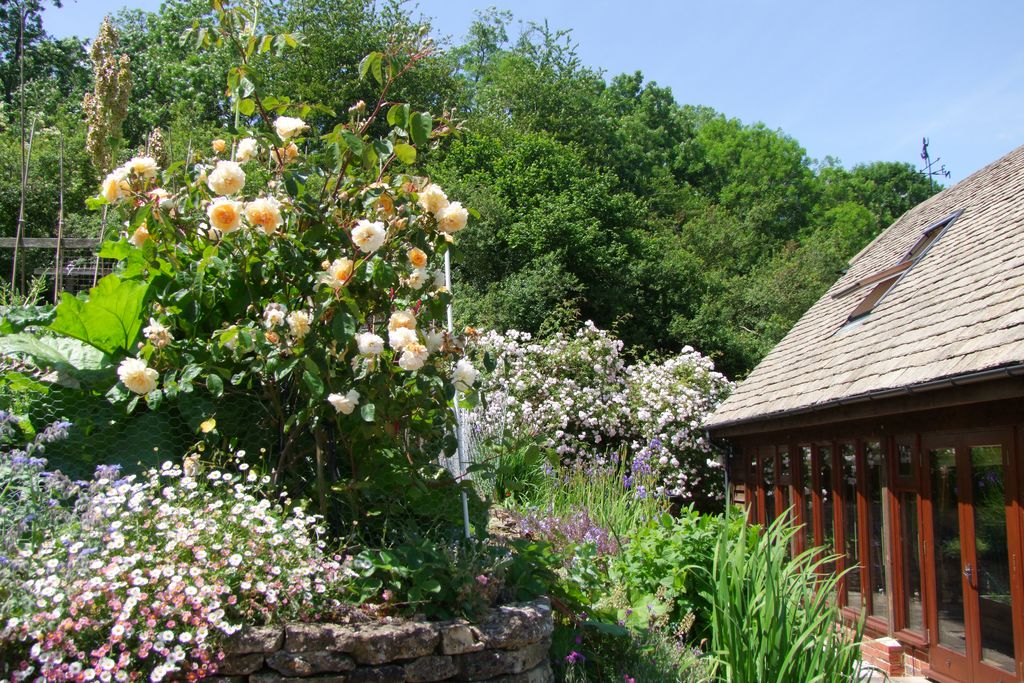 The Guest House gallery - Gallery