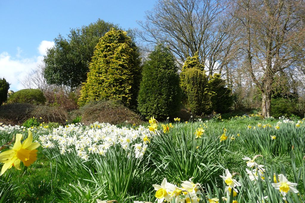 Shallowdale House gallery - Gallery