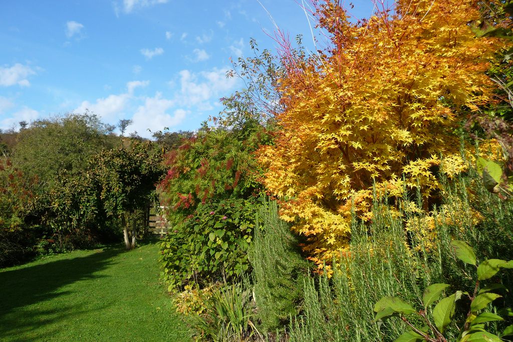 Shallowdale House - Sawday's