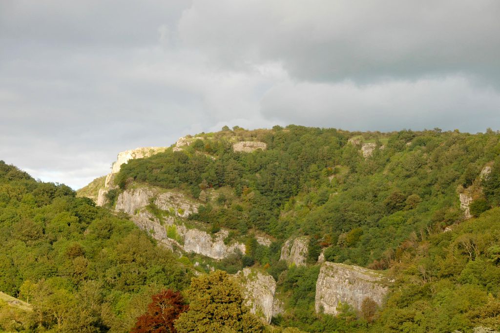 Gorge View Cottage gallery - Gallery