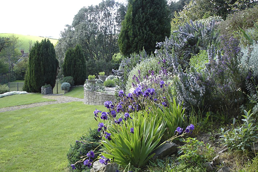 The Lynches gallery - Gallery