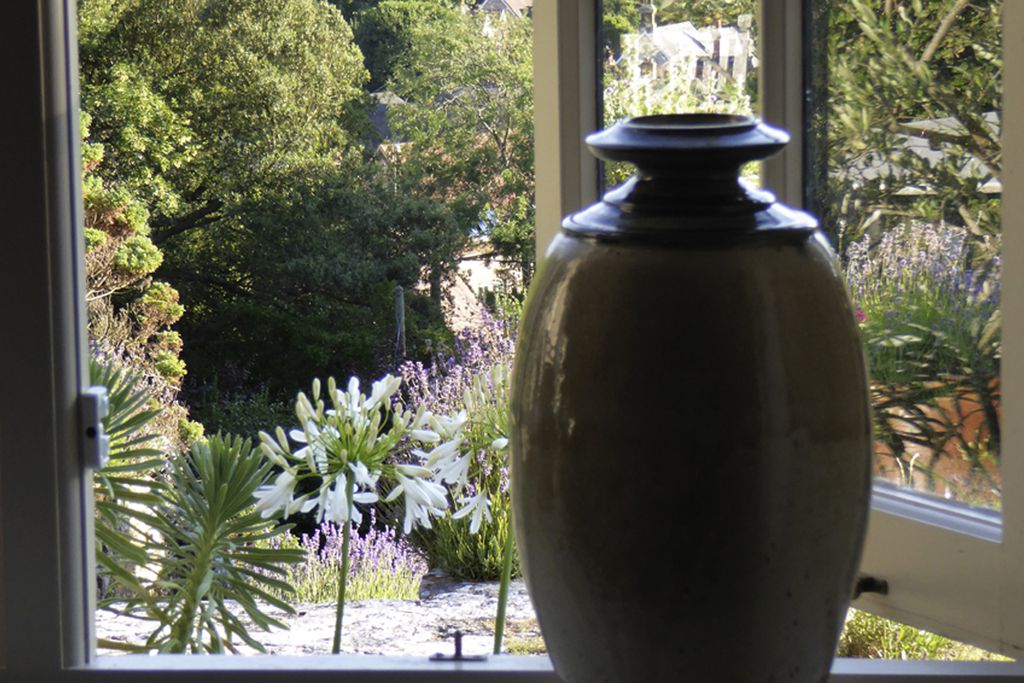 The Lynches gallery - Gallery