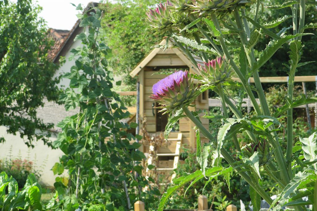 Le Bouyssou gallery - Gallery
