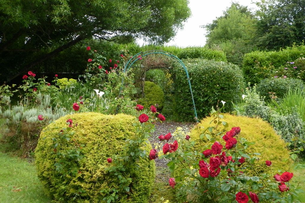 Fleur & Kizzie Cottages gallery - Gallery