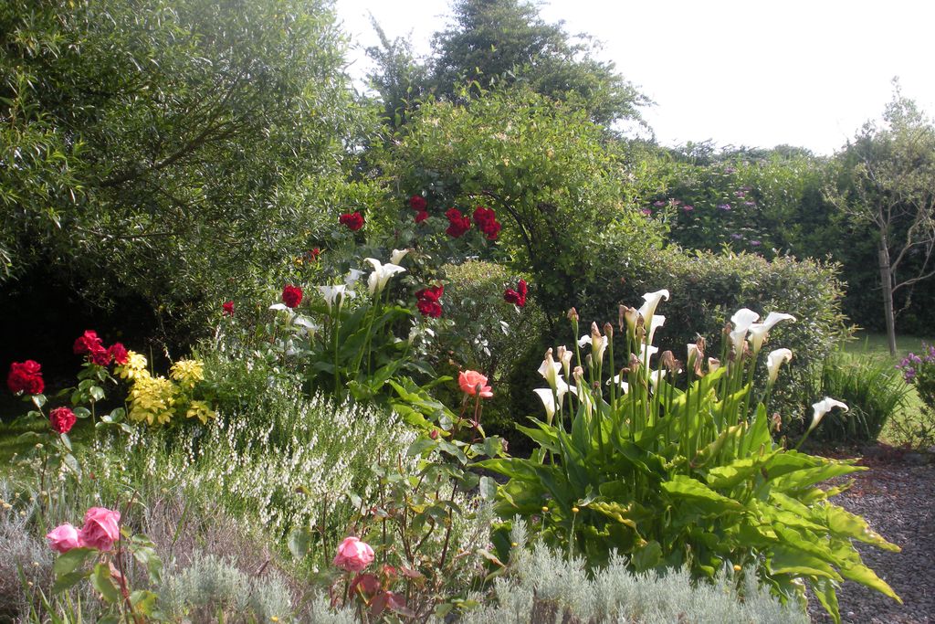 Fleur & Kizzie Cottages gallery - Gallery