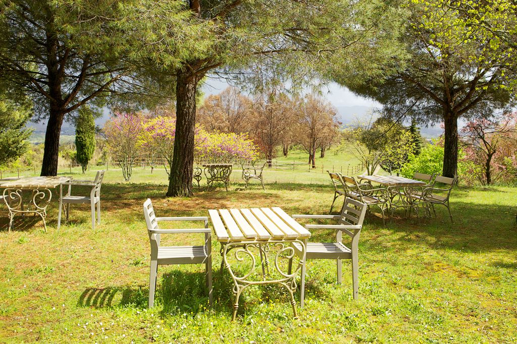 Domaine Michaud gallery - Gallery