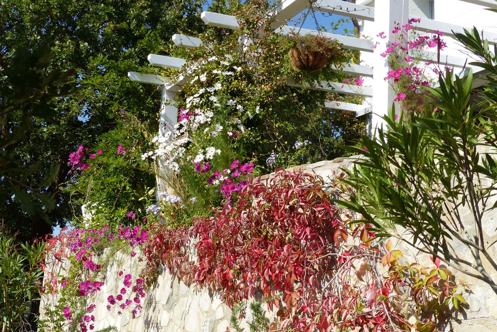 Casa Serena & The Garden House gallery - Gallery