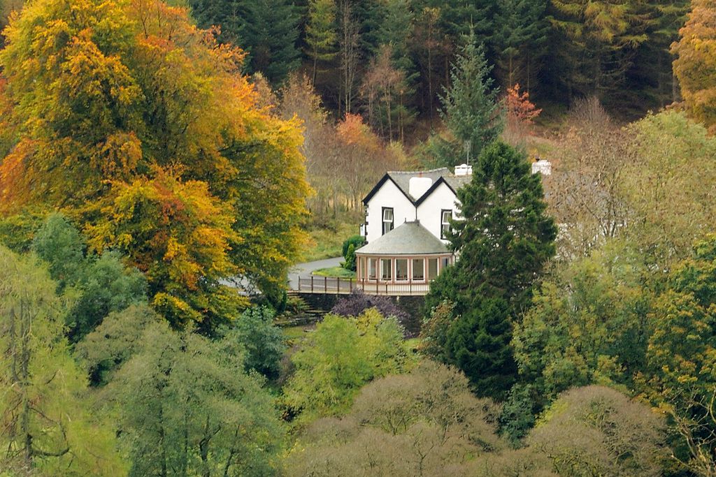 The Cottage in the Wood gallery - Gallery