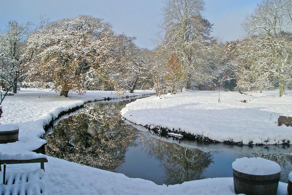 Efford Mill gallery - Gallery