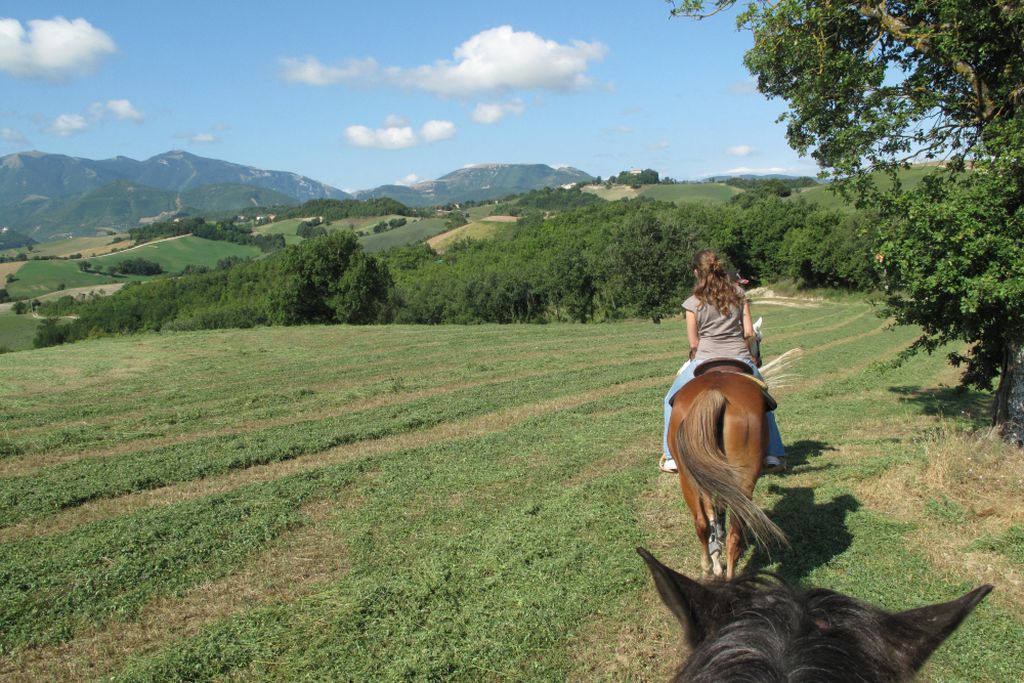 Locanda della Valle Nuova gallery - Gallery