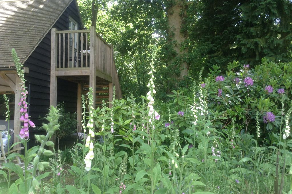 The Treehouse gallery - Gallery