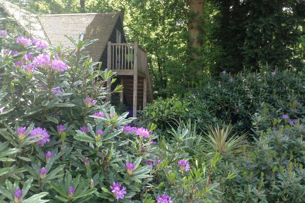 The Treehouse gallery - Gallery