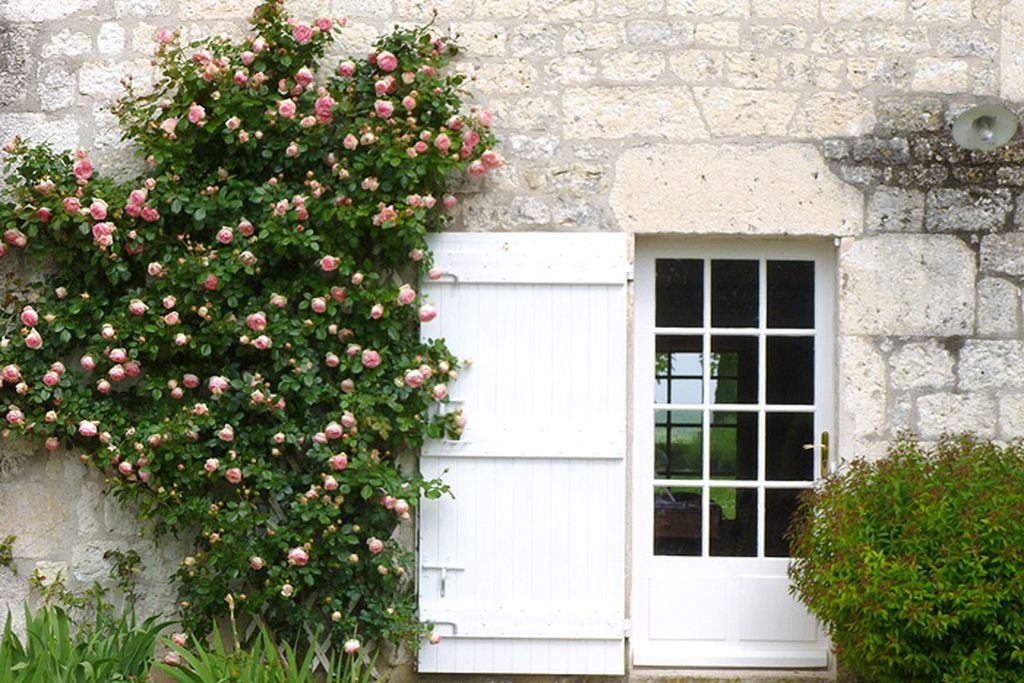 Bosc de la Croze gallery - Gallery