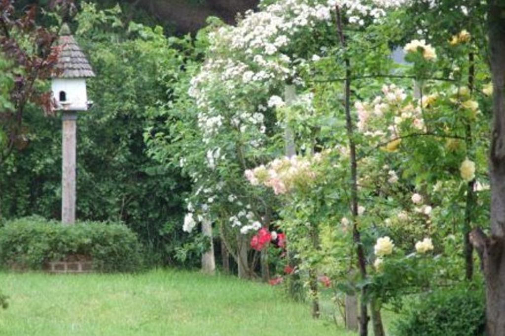 Mulsford Cottage gallery - Gallery