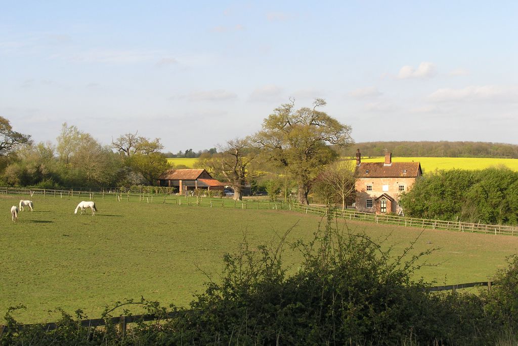 Oak Tree Farm gallery - Gallery