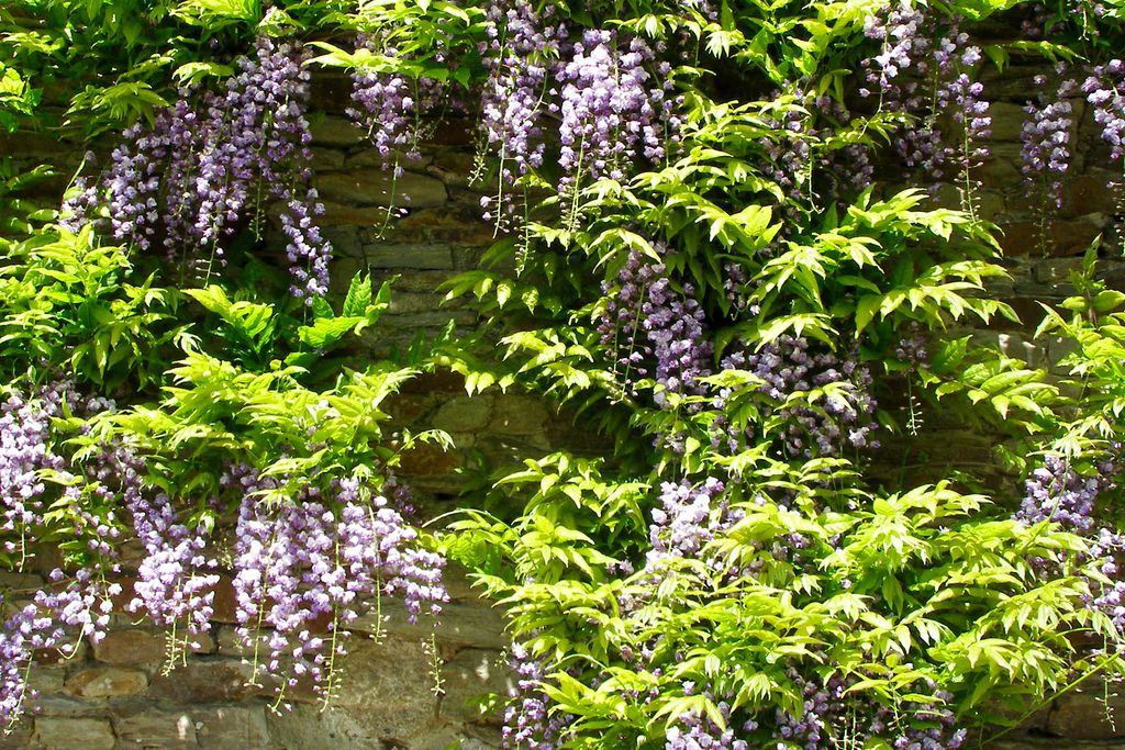 Manoir de Kerledan gallery - Gallery
