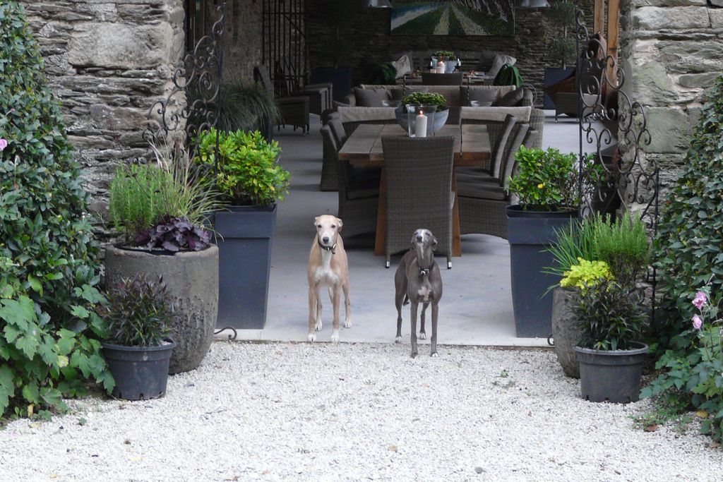 Manoir de Kerledan gallery - Gallery