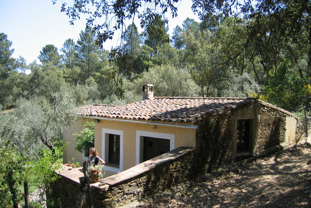 Finca el Moro gallery - Gallery