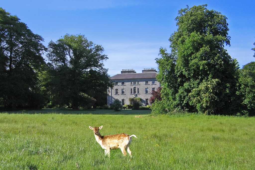 Coopershill House gallery - Gallery