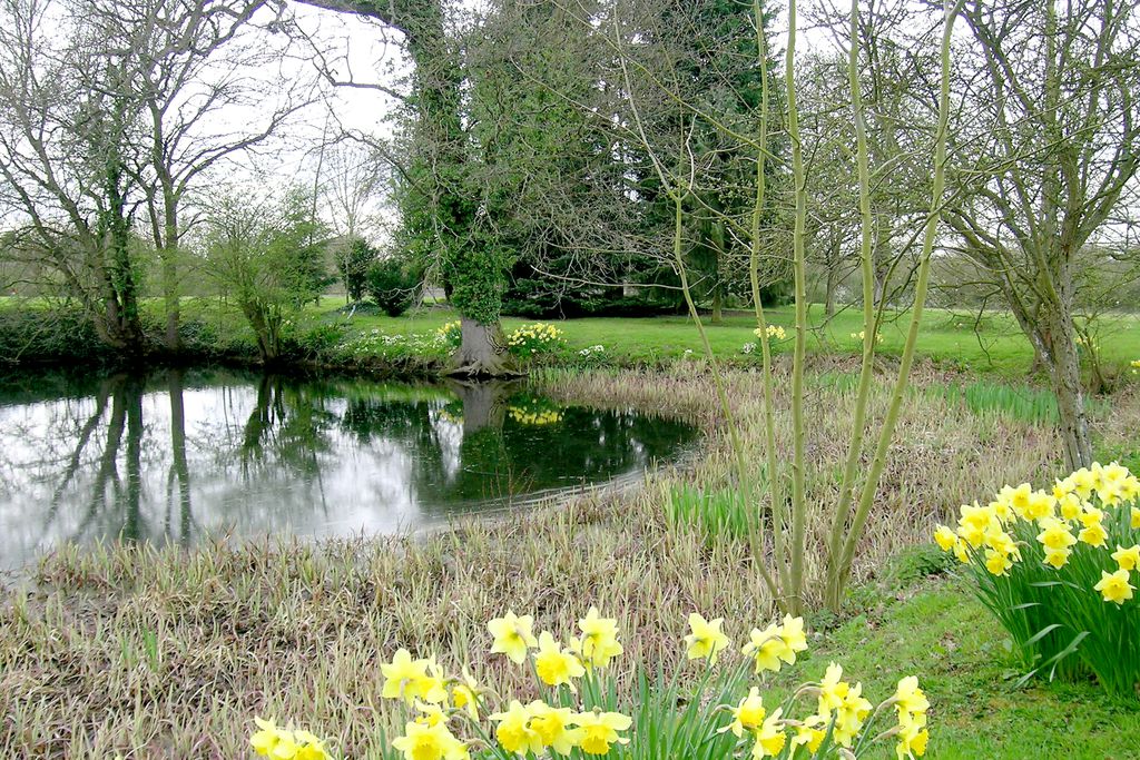 Folly Cottage gallery - Gallery