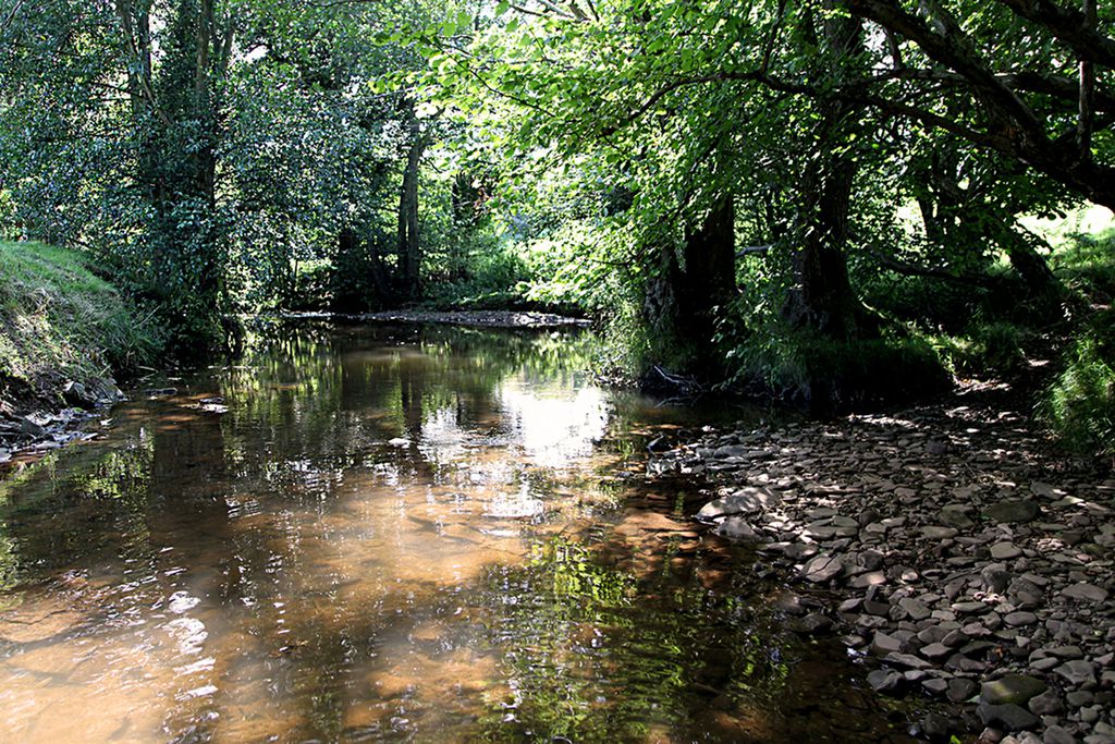 Monnow River Cottage gallery - Gallery