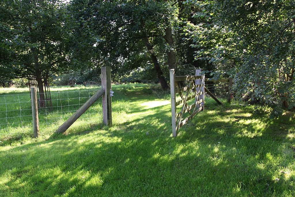 Monnow River Cottage gallery - Gallery