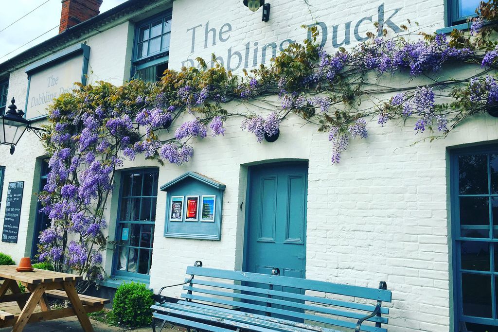 The Dabbling Duck gallery - Gallery