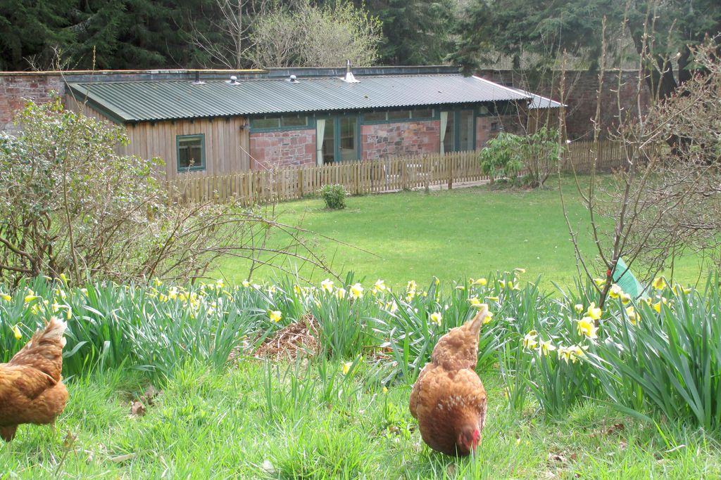 The Potting Shed gallery - Gallery