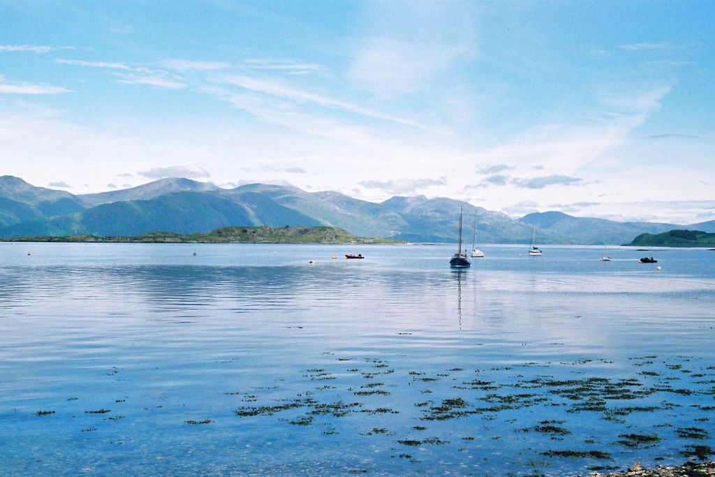 The Pierhouse gallery - Gallery