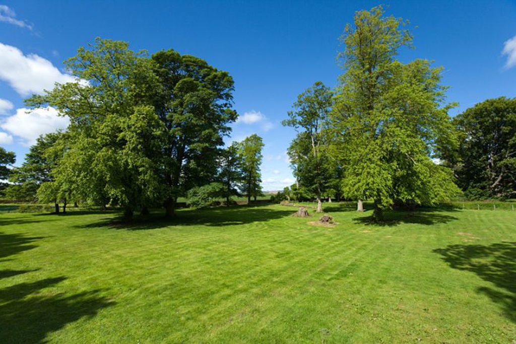 Kincaple Stables gallery - Gallery