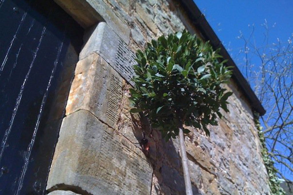 Kincaple Stables gallery - Gallery