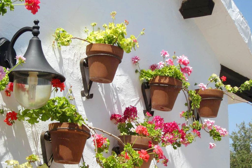 Casa Limones & Los Olivos gallery - Gallery