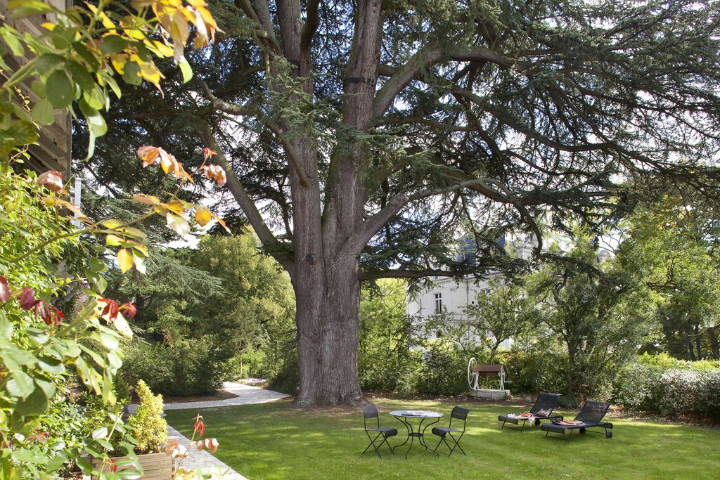Domaine de la Tortinière gallery - Gallery