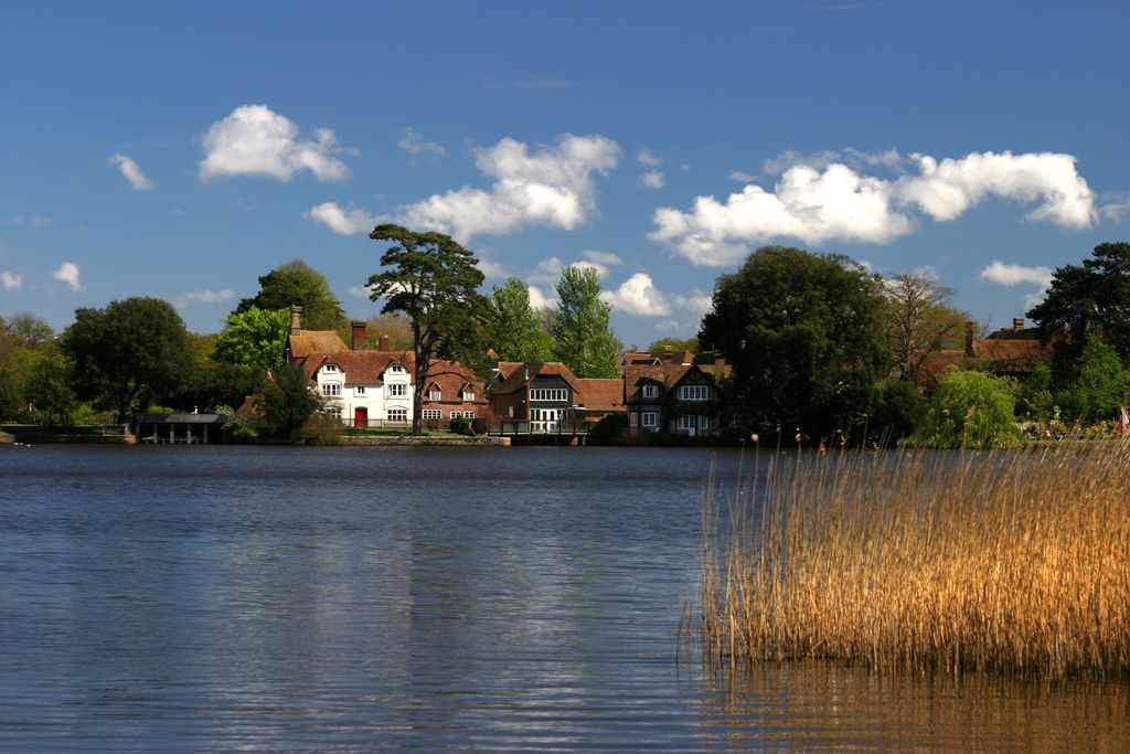 The Montagu Arms gallery - Gallery