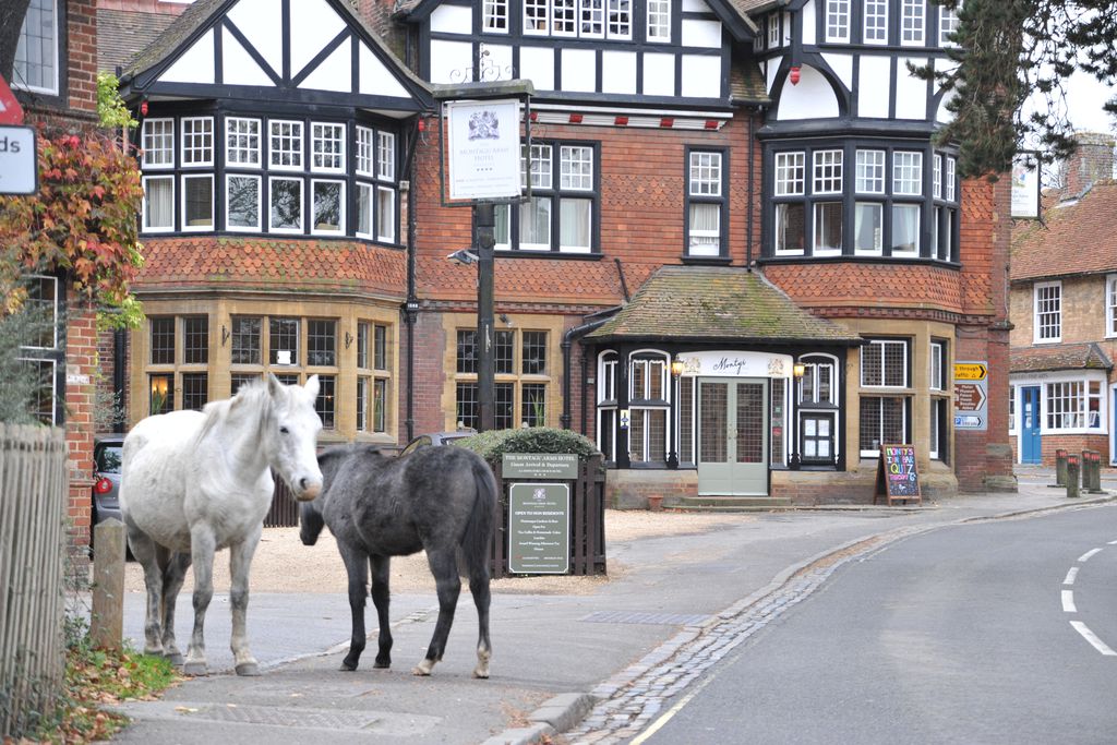 The Montagu Arms gallery - Gallery