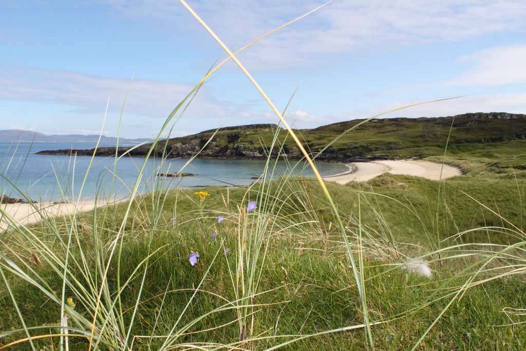 The Colonsay gallery - Gallery