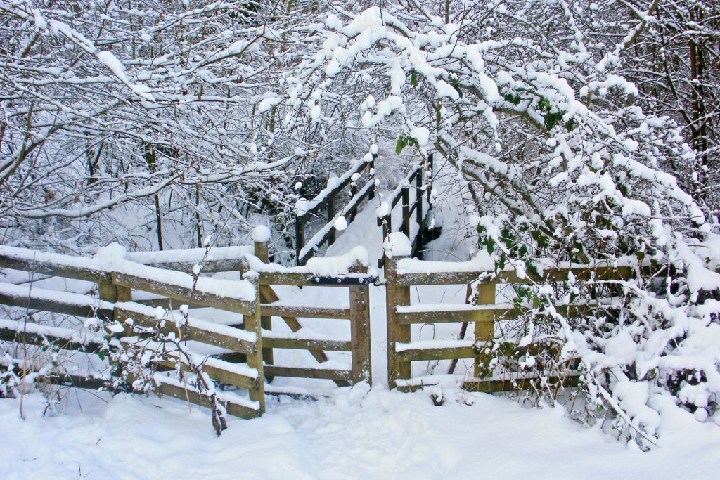 Coquet Cottage - Sawday's