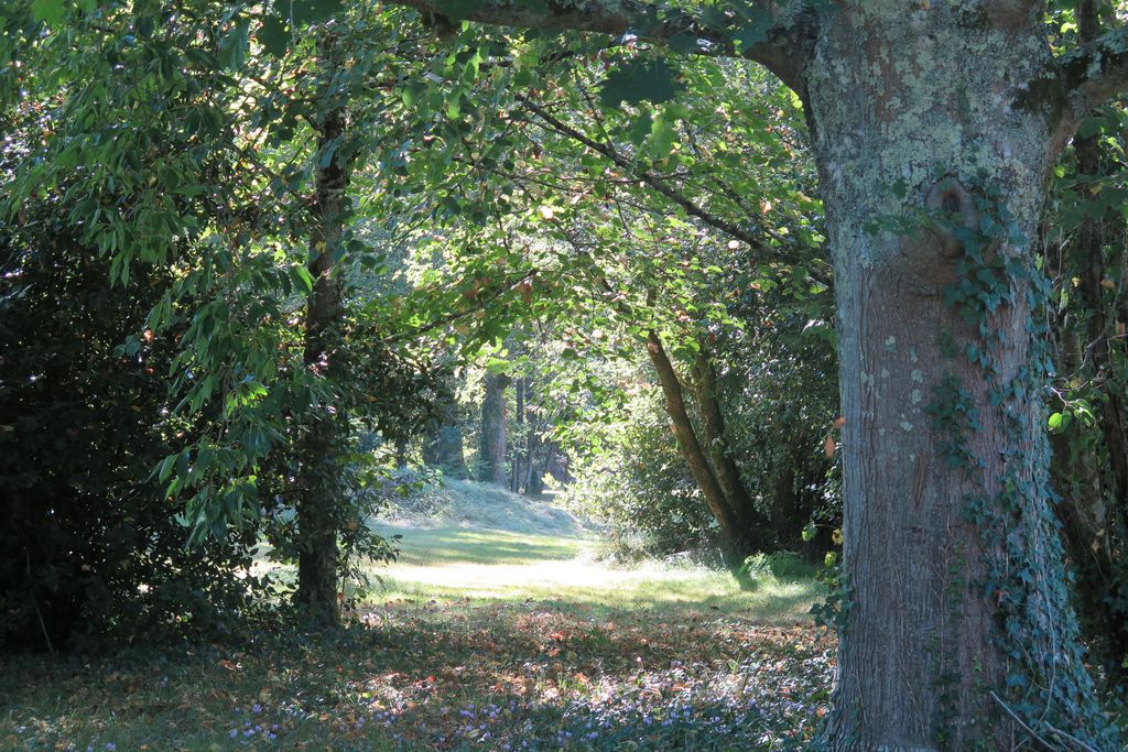 Domaine de Sengresse gallery - Gallery