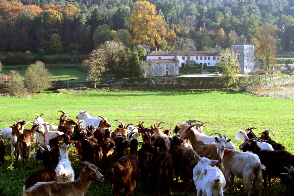 Quinta de Pindela gallery - Gallery