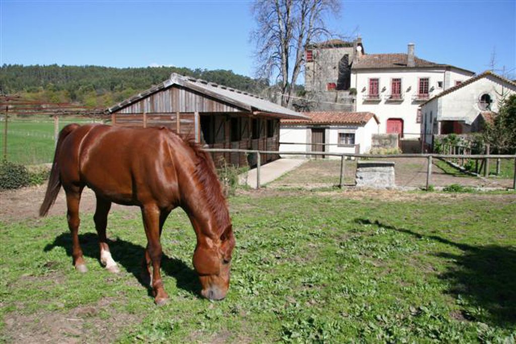 Quinta de Pindela gallery - Gallery