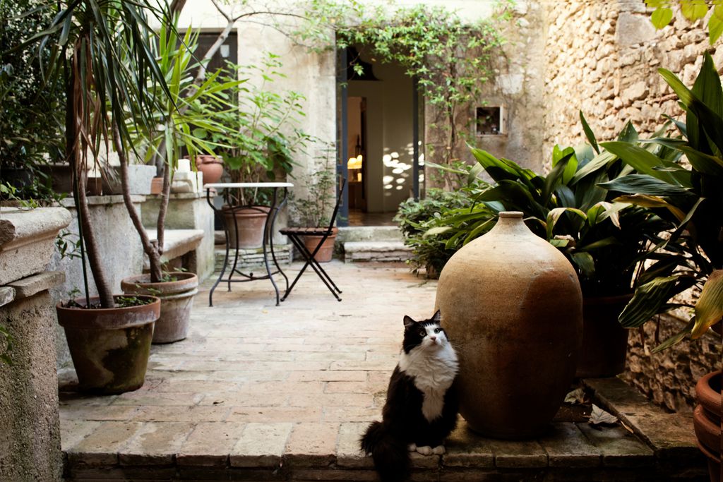 Albergo Diffuso Crispolti gallery - Gallery