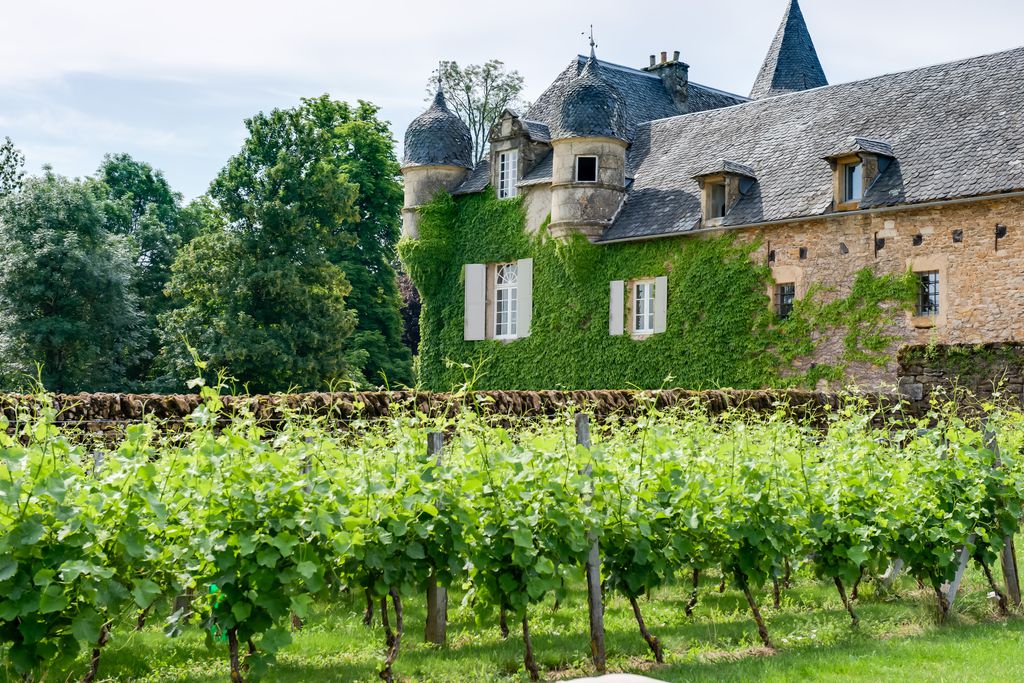 Château de Labro - Gallery