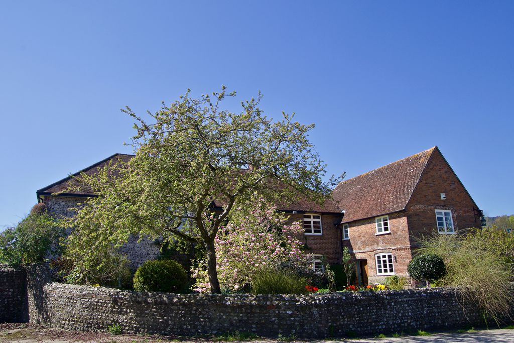 Crows Hall Farm gallery - Gallery