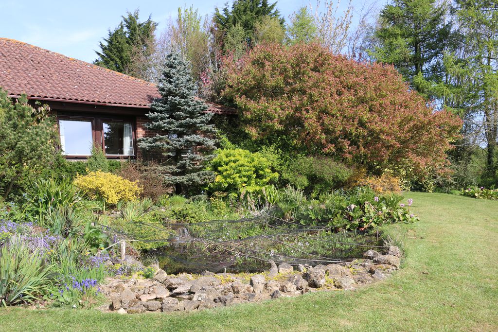 Hornbeams gallery - Gallery