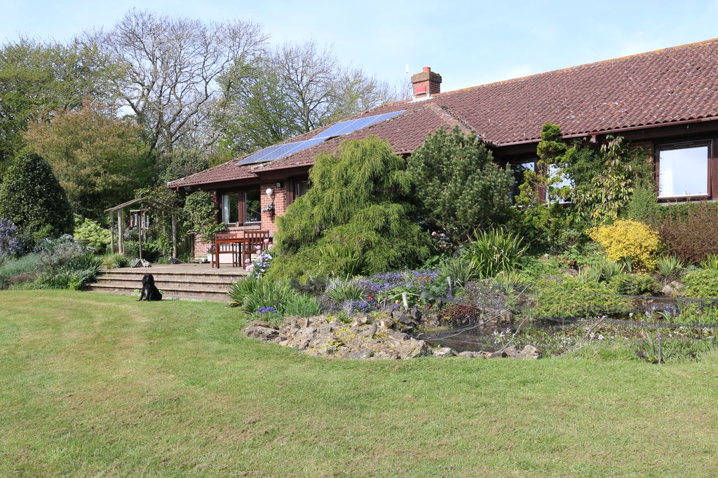 Hornbeams gallery - Gallery