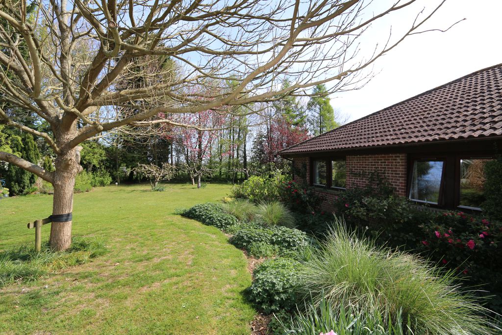 Hornbeams gallery - Gallery