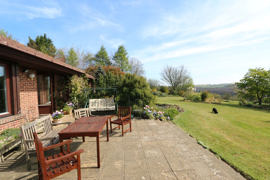 Hornbeams gallery - Gallery