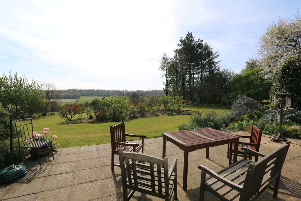 Hornbeams gallery - Gallery